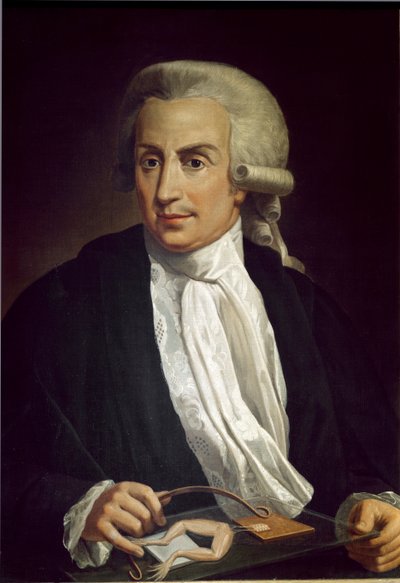 Luigi Galvani avec spécimen de grenouille - Italian School