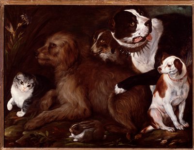 Chiens Médicis, avec un chat et un lapin de l
