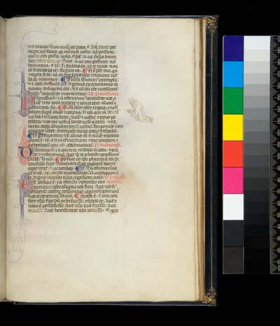 Ms 373. Pseudo-Cicéron, Rhetorica ad Herennium, et autres œuvres, f.50r. Initiales ornées de plumes et décoration à la plume dans la marge représentant un moine pieds nus agenouillé, vers 1337 - Italian School
