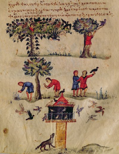 Ms Grec 479 Chasse aux oiseaux, illustration probablement de l