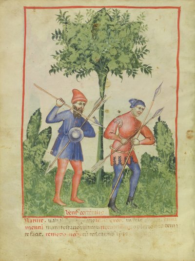 Nouv Acq Lat 1673 fol.100v Le Vent d