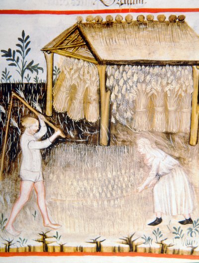 Nova 2644 fol.44r Battage de l