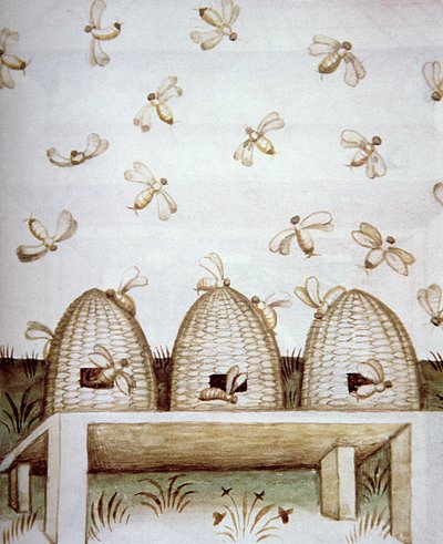 Ruches, de Tacuinum Sanitatis - Italian School