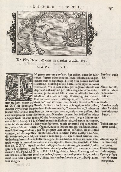 Page 735 de Historia De Gentivus Septentrionalibus par Magnus Olaus, Rome 1565 - Italian School