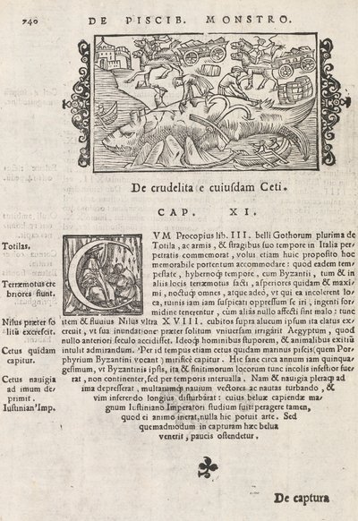 Page 740 de Historia De Gentivus Septentrionalibus par Magnus Olaus, Rome 1565 - Italian School