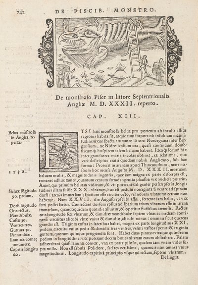 Page 742 de Historia De Gentivus Septentrionalibus par Magnus Olaus, Rome 1565 - Italian School
