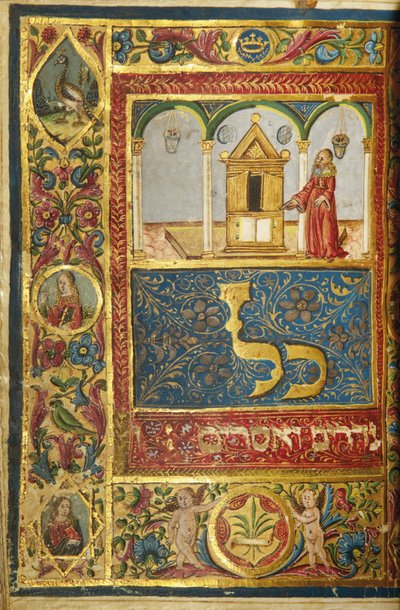 Page d