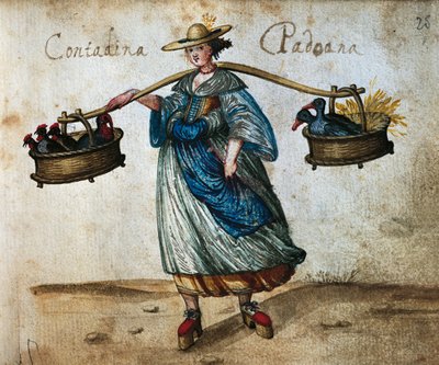 Paysanne avec des animaux de cour dans des paniers, paysanne de Padoue, illustration en couleur du XVIe siècle - Italian School