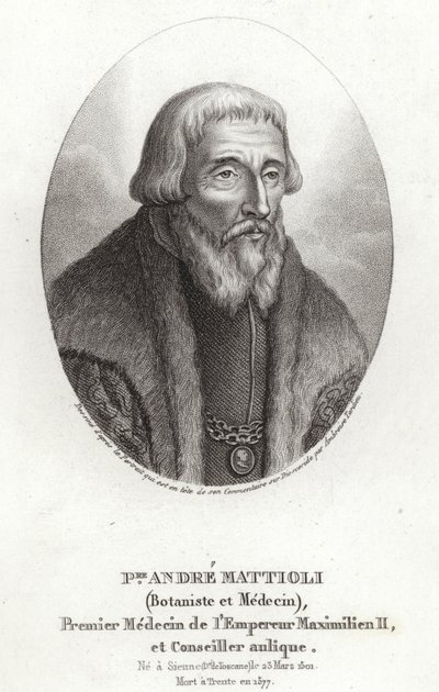 Pietro Andrea Mattioli - Italian School