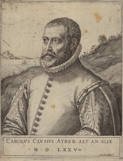 Portrait de Carolus Clusius - Italian School