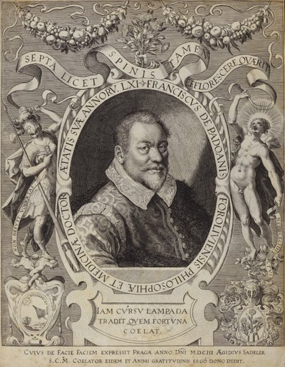 Portrait de Franciscus de Padoanis Foroliviensis - Italian School