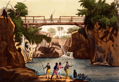 Rivière Roccie près de San Benedetto, île de Madagascar, de Costumi dei... par Giulio Ferrario, vers 1820-30 - Italian School