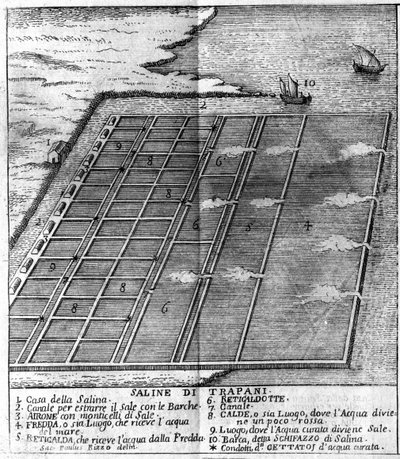 Marais salants à Trapani. Planche illustrée tirée de « Stato Presente della Sicilia » par Arcangelo Leanti, Palerme 1761 - Italian School