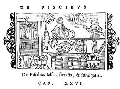 Salage, séchage et fumage du poisson, illustration de Historia de Gentibus Septentrionalibus par Olaus Magnus (1490-1558), publié à Rome, 1555 - Italian School