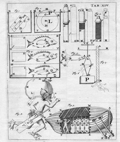 Études sur la navigation sous-marine - dans "De Motu Animalium" de Giovanni Alfonso Borelli (1608 - 1679) - Italian School