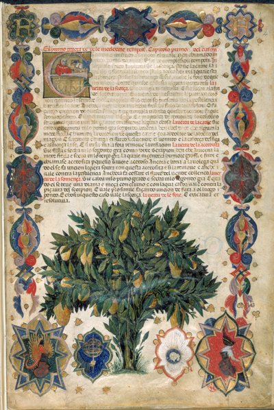 Page de texte avec bordures ornementales, illustration de 