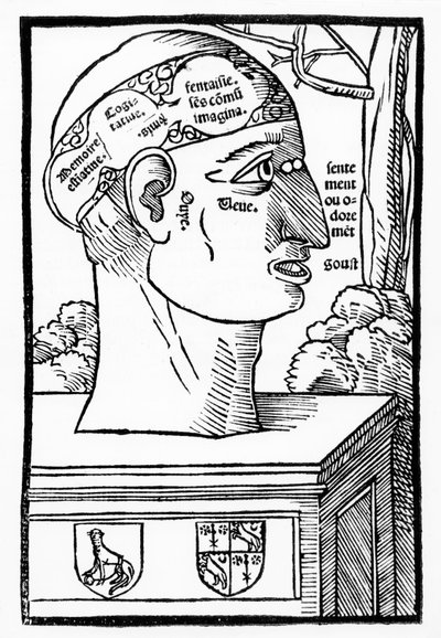 Le Cerveau et les facultés humaines, d