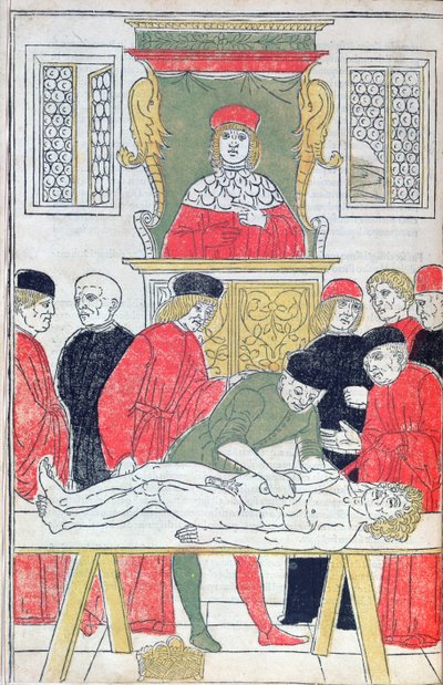 La dissection, illustration de 