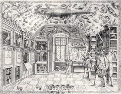Le Musée d
