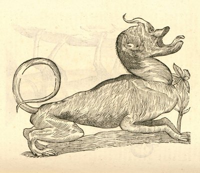 Illustration de Canis monstroso capite de l
