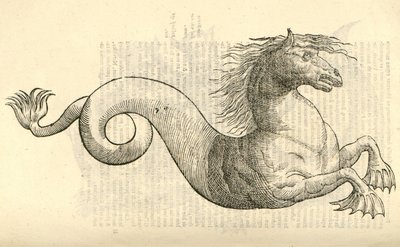 Illustration de Equus marinus monstrosus de l