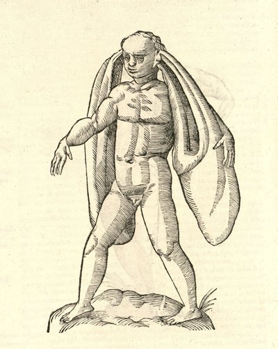 Illustration de Homo Fanesius auritus de l
