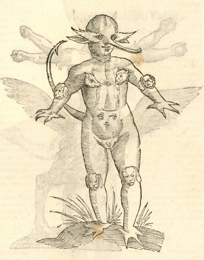 Illustration de Infans capitibus Animalium de l