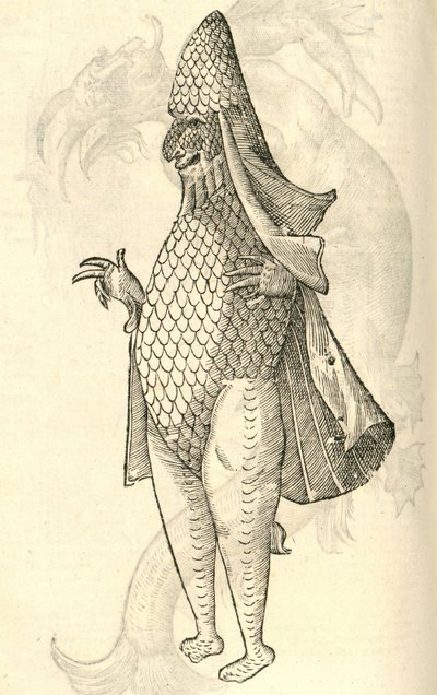 Illustration de Monstrum Marinum rudimenta habitus Episcopi referens de l