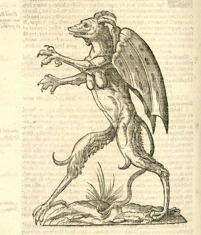 Illustration de Monstrum alatum, & cornutum instar Cacodaemonis de l