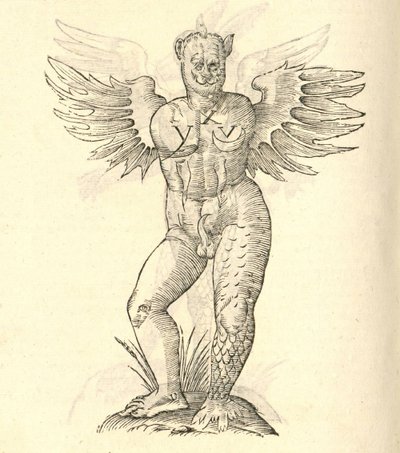 Illustration de Monstrum cornutum, et alatum aliud de l