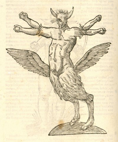 Illustration de Monstrum tetrachiron alatum capite humano aurito de l