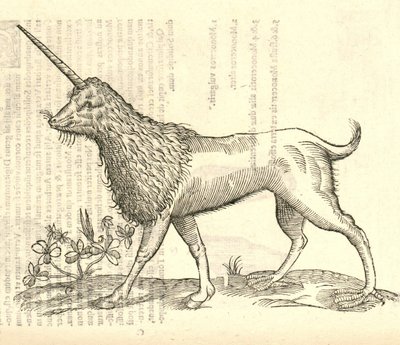 Illustration d