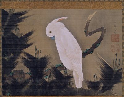 Cacatoès blanc sur une branche de pin - Ito Jakuchu