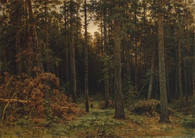 Forêt de pins, 1885 - Ivan Ivanovich Shishkin