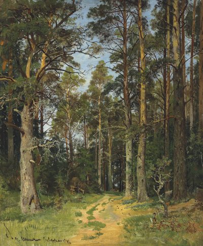 Siverskaya, 1896 - Ivan Ivanovich Shishkin