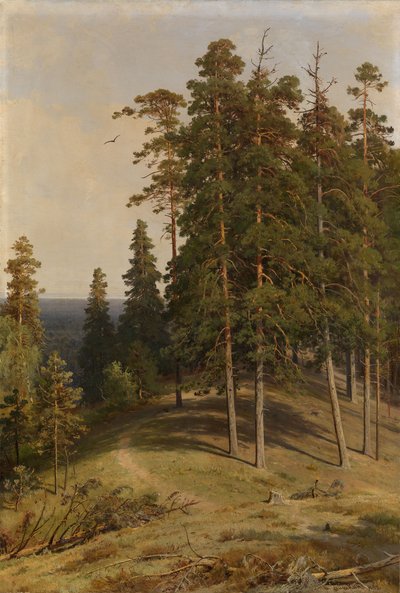 La Forêt de pins, 1895 - Ivan Ivanovich Shishkin