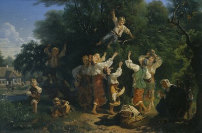 Récolte de cerises dans le jardin fruitier d