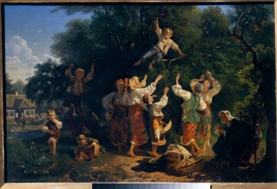 La cueillette des cerises dans le verger d