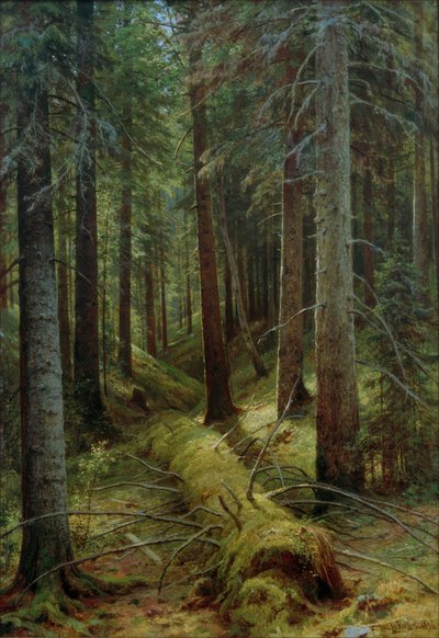 Dans la forêt russe - Ivan Ivanovich Shishkin