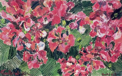 Rhododendron, 1962 - Izabella Godlewska de Aranda
