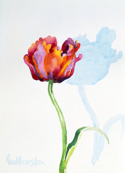 Tulipe - Izabella Godlewska de Aranda