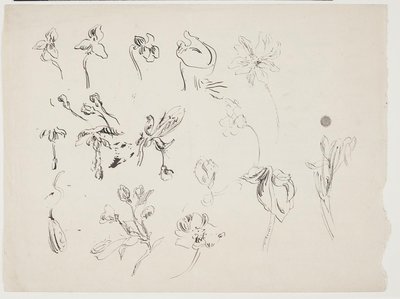 Esquisses de fleurs - J.A. Jerichau