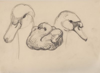 Cygne et têtes de cygnes - J.A. Jerichau