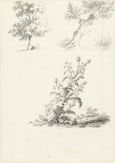 Deux études d