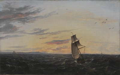 Paysage marin. La côte de l