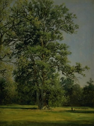 Un chêne. Vue du jardin à Wörlitz près de Dessau - Johan Christian Dahl