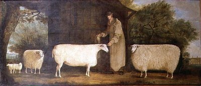 Un berger avec son troupeau - J.D. Curtis