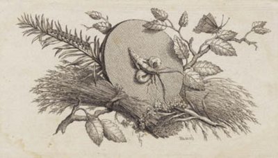 Un disque rond incliné parmi des feuilles et des insectes - J.F. Clemens
