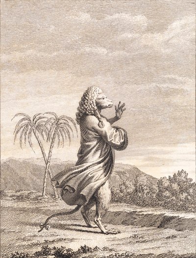 Un singe martiniquais - J.F. Clemens