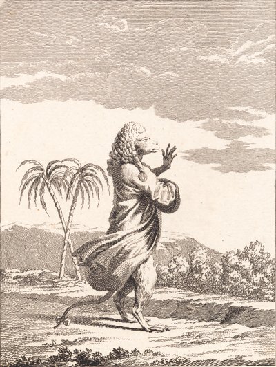 Un singe martiniquais - J.F. Clemens